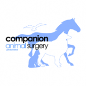 Companion Animal Surgery Pte Ltd business logo picture