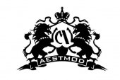 Aestmod Auto LLP business logo picture