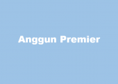 Anggun Premier business logo picture