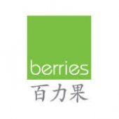 Berries World of Learning School SG HQ business logo picture