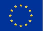 DELEGATION OF THE EUROPEAN UNION  business logo picture