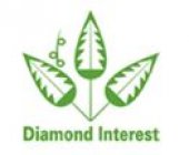 Diamond Interest Kuching business logo picture