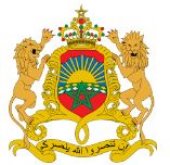 EMBASSY OF THE KINGDOM OF MOROCCO business logo picture