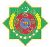 EMBASSY OF TURKMENISTAN business logo picture