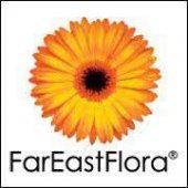 FarEastFlora.com HQ business logo picture