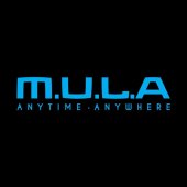 Mula Car International business logo picture