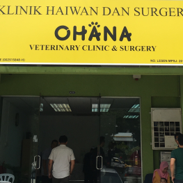 Ohana Veterinary Clinic Surgery Vet Clinic In Seri Kembangan