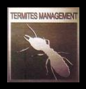 Pestkill business logo picture