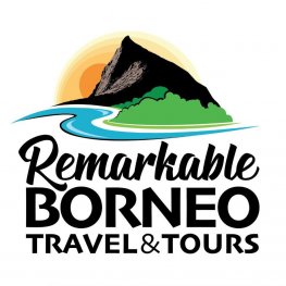 borneo travel companies