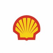 SHELL DUYONG Picture