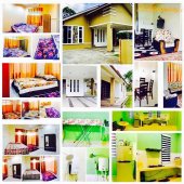 Siti Homestay Kota Bharu business logo picture