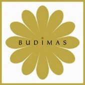 The Budimas Charitable Foundation business logo picture